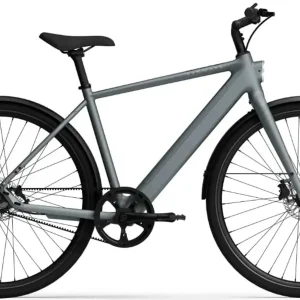 TENWAYS CGO600 PRO Elektrische Herenfiets L (1.80m - 1.95m)