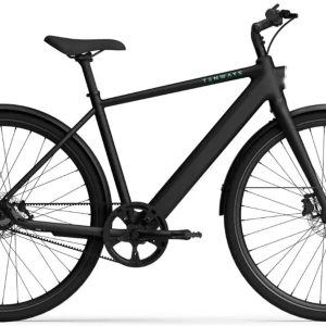 TENWAYS CGO600 PRO Elektrische Herenfiets M (1.70m - 1.80m)