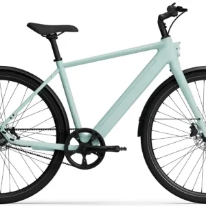 TENWAYS CGO600 PRO Elektrische Herenfiets XL (1.85m - 1.95m)
